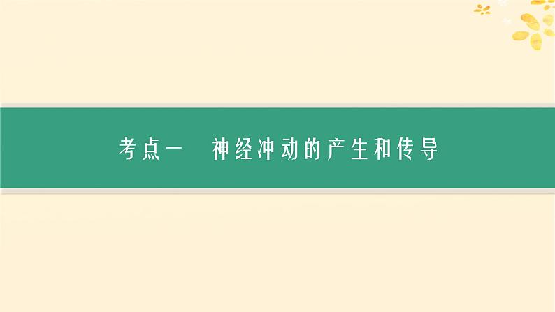 备战2025届新高考生物一轮总复习第8单元稳态与调节第32讲神经冲动的产生传导和传递课件第3页