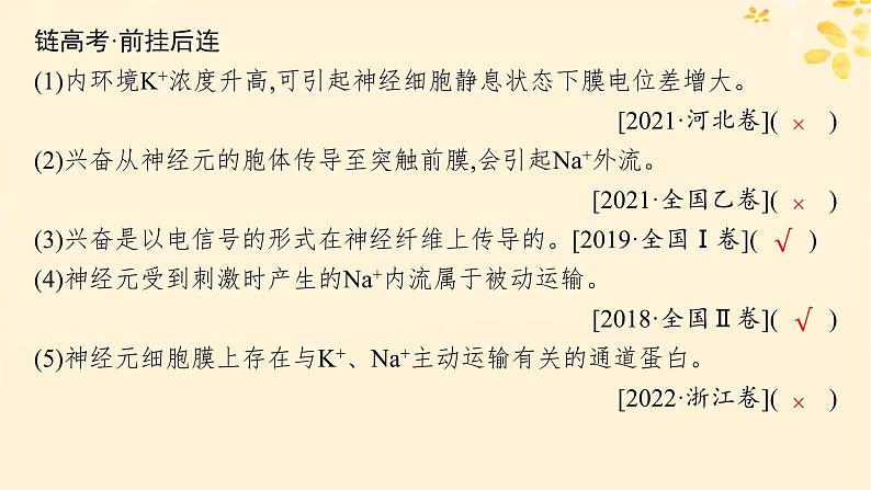 备战2025届新高考生物一轮总复习第8单元稳态与调节第32讲神经冲动的产生传导和传递课件第7页