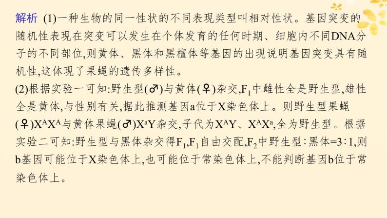 备战2025届新高考生物一轮总复习第7单元生物的变异和进化专题精研课9利用假说_演绎法解决生物变异类型实验探究题课件08