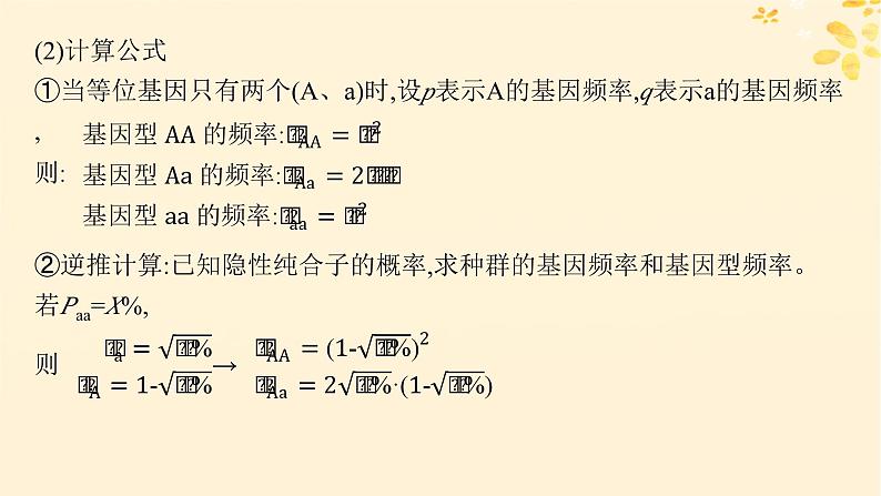 备战2025届新高考生物一轮总复习第7单元生物的变异和进化专题精研课10基因频率与基因型频率的计算课件第4页