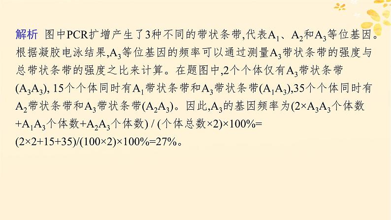 备战2025届新高考生物一轮总复习第7单元生物的变异和进化专题精研课10基因频率与基因型频率的计算课件第6页