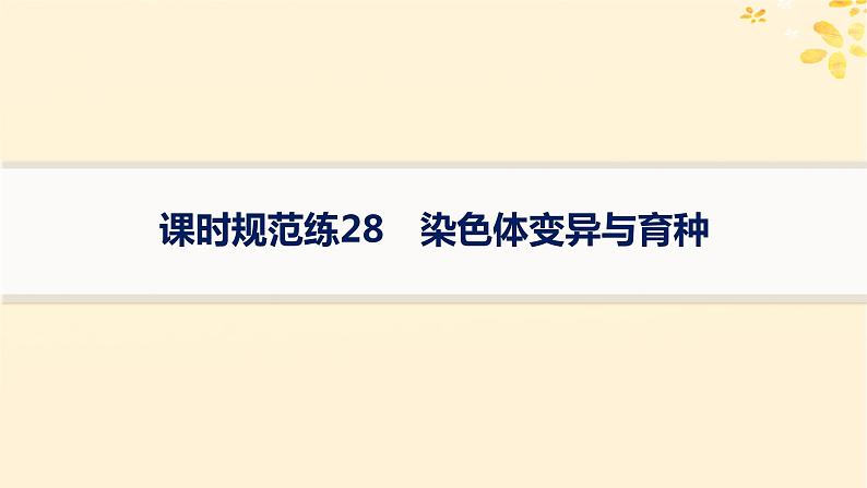 备战2025届新高考生物一轮总复习第7单元生物的变异和进化课时规范练28染色体变异与育种课件第1页