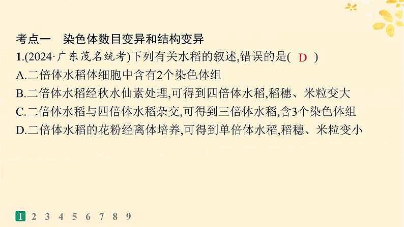 备战2025届新高考生物一轮总复习第7单元生物的变异和进化课时规范练28染色体变异与育种课件第3页