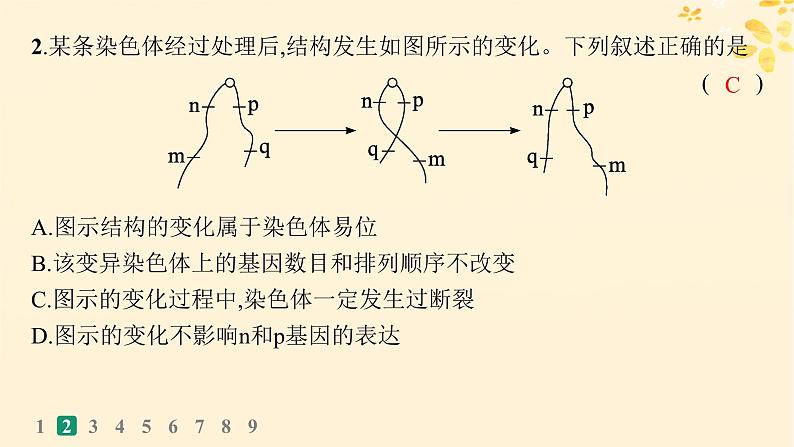 备战2025届新高考生物一轮总复习第7单元生物的变异和进化课时规范练28染色体变异与育种课件第5页