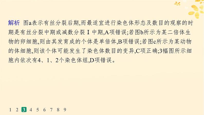 备战2025届新高考生物一轮总复习第7单元生物的变异和进化课时规范练28染色体变异与育种课件第8页