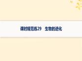 备战2025届新高考生物一轮总复习第7单元生物的变异和进化课时规范练29生物的进化课件