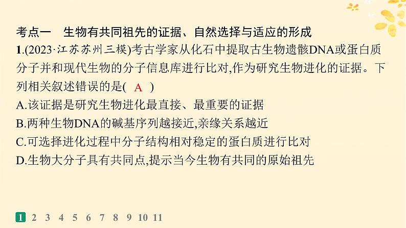 备战2025届新高考生物一轮总复习第7单元生物的变异和进化课时规范练29生物的进化课件第3页