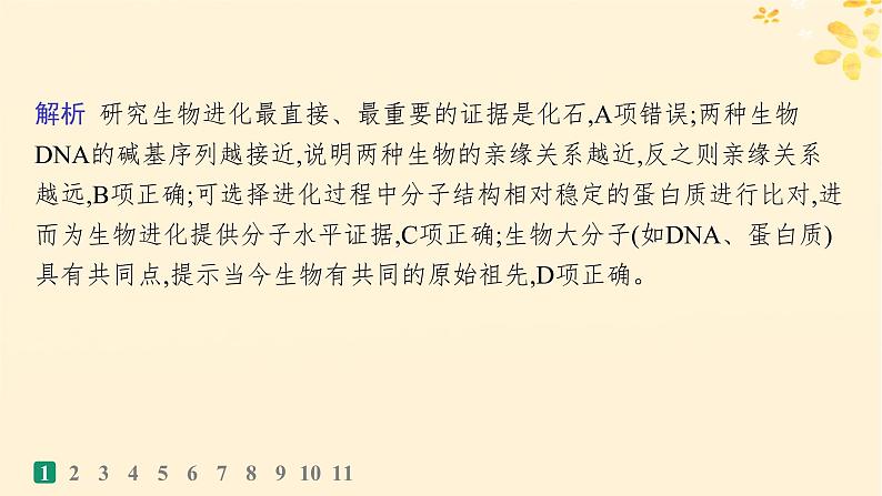 备战2025届新高考生物一轮总复习第7单元生物的变异和进化课时规范练29生物的进化课件第4页