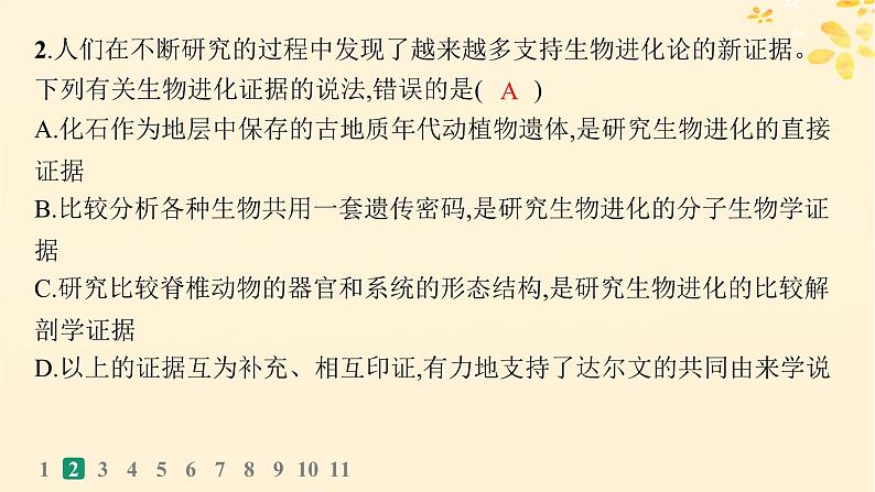 备战2025届新高考生物一轮总复习第7单元生物的变异和进化课时规范练29生物的进化课件第5页