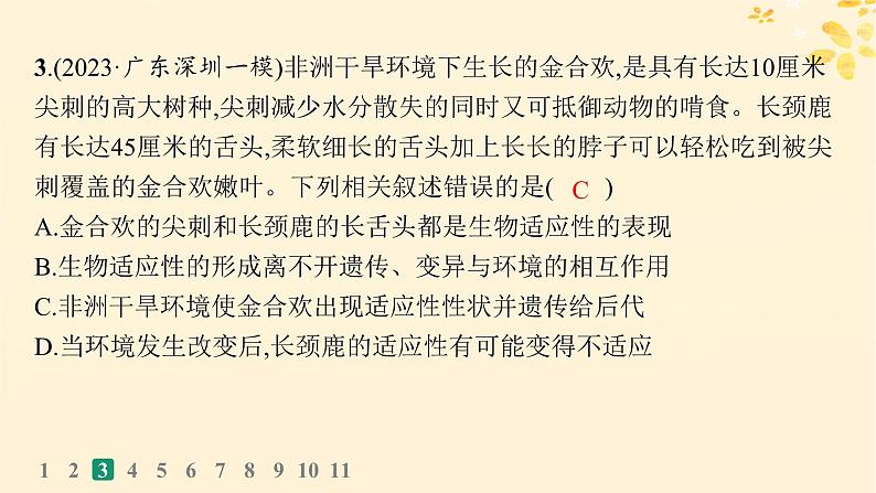 备战2025届新高考生物一轮总复习第7单元生物的变异和进化课时规范练29生物的进化课件第7页