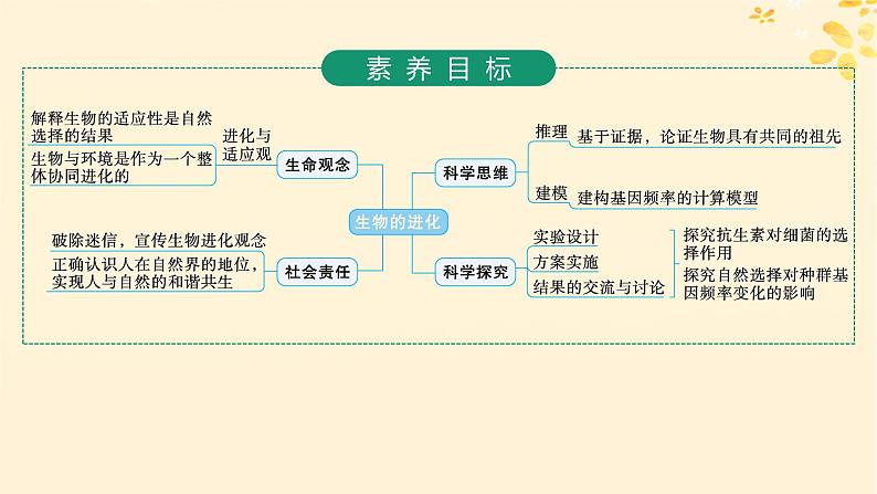 备战2025届新高考生物一轮总复习第7单元生物的变异和进化第29讲生物的进化课件02