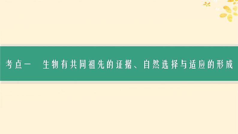 备战2025届新高考生物一轮总复习第7单元生物的变异和进化第29讲生物的进化课件03