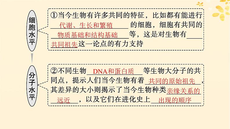 备战2025届新高考生物一轮总复习第7单元生物的变异和进化第29讲生物的进化课件06