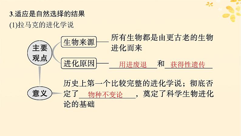 备战2025届新高考生物一轮总复习第7单元生物的变异和进化第29讲生物的进化课件07