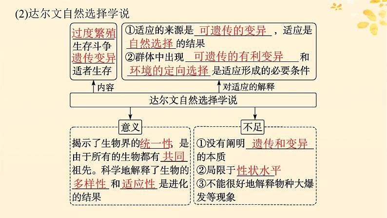 备战2025届新高考生物一轮总复习第7单元生物的变异和进化第29讲生物的进化课件08