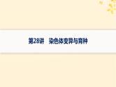 备战2025届新高考生物一轮总复习第7单元生物的变异和进化第28讲染色体变异与育种课件
