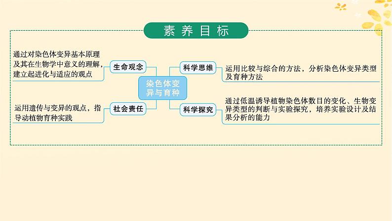 备战2025届新高考生物一轮总复习第7单元生物的变异和进化第28讲染色体变异与育种课件第2页