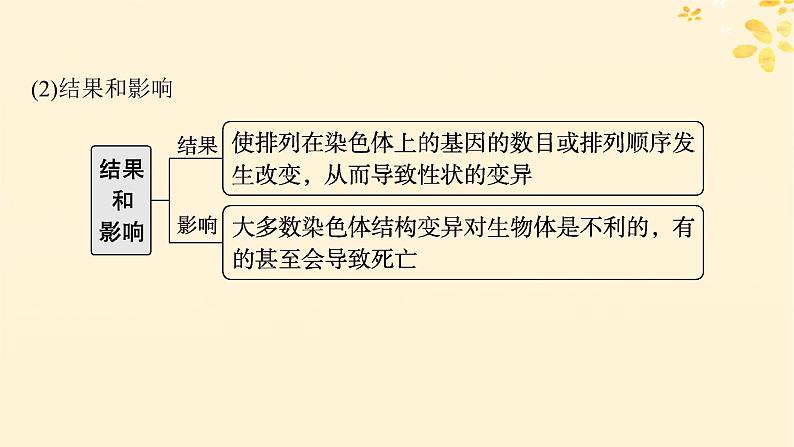 备战2025届新高考生物一轮总复习第7单元生物的变异和进化第28讲染色体变异与育种课件第8页