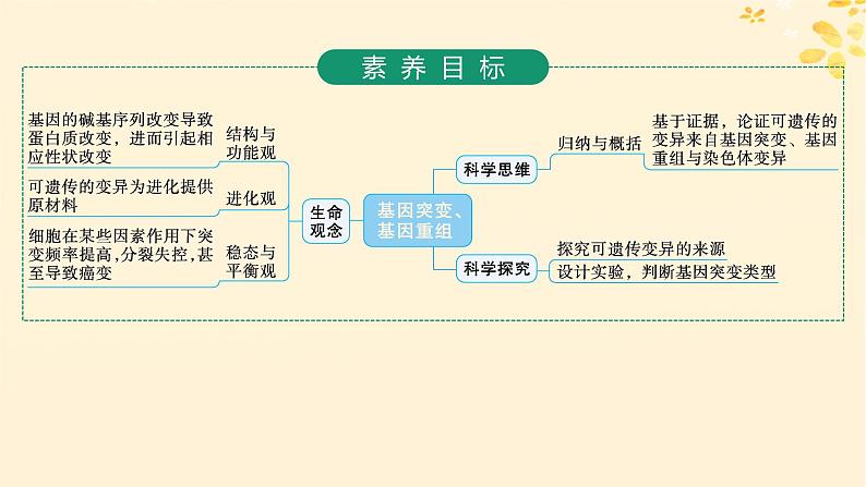 备战2025届新高考生物一轮总复习第7单元生物的变异和进化第27讲基因突变基因重组课件第2页