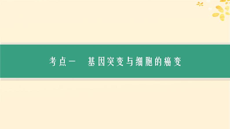 备战2025届新高考生物一轮总复习第7单元生物的变异和进化第27讲基因突变基因重组课件第3页