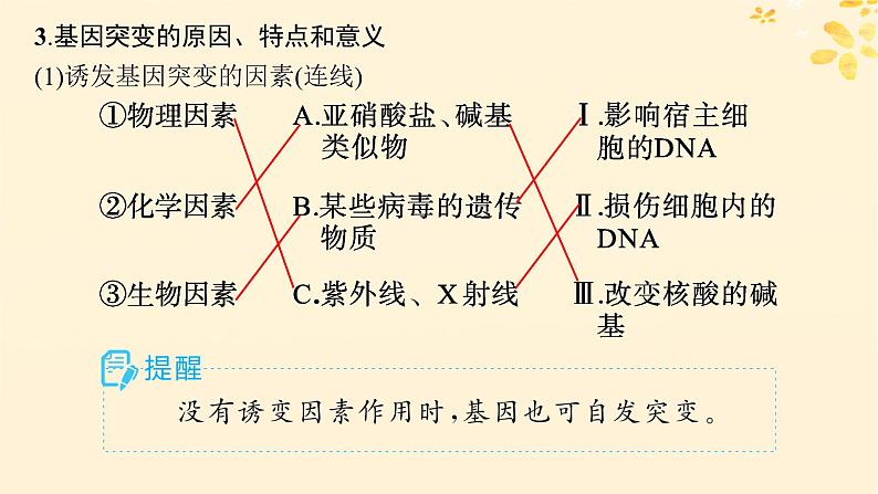 备战2025届新高考生物一轮总复习第7单元生物的变异和进化第27讲基因突变基因重组课件第8页