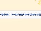 备战2025届新高考生物一轮总复习第6单元遗传的分子基础专题精研课8DNA复制与细胞分裂中染色体的标记问题课件