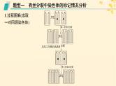 备战2025届新高考生物一轮总复习第6单元遗传的分子基础专题精研课8DNA复制与细胞分裂中染色体的标记问题课件