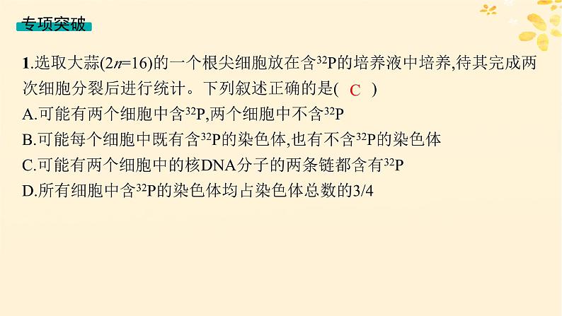 备战2025届新高考生物一轮总复习第6单元遗传的分子基础专题精研课8DNA复制与细胞分裂中染色体的标记问题课件04