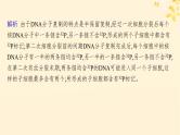 备战2025届新高考生物一轮总复习第6单元遗传的分子基础专题精研课8DNA复制与细胞分裂中染色体的标记问题课件