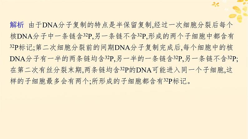 备战2025届新高考生物一轮总复习第6单元遗传的分子基础专题精研课8DNA复制与细胞分裂中染色体的标记问题课件05