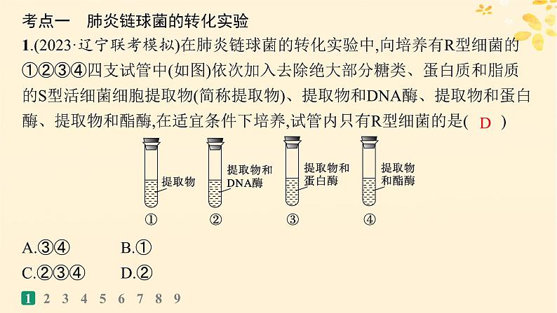 备战2025届新高考生物一轮总复习第6单元遗传的分子基础课时规范练23DNA是主要的遗传物质课件第3页