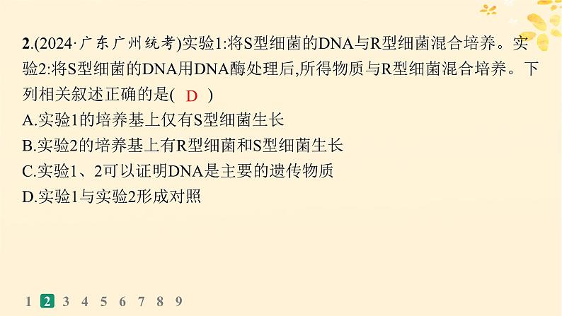 备战2025届新高考生物一轮总复习第6单元遗传的分子基础课时规范练23DNA是主要的遗传物质课件第5页