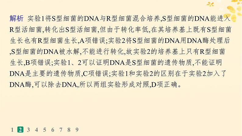 备战2025届新高考生物一轮总复习第6单元遗传的分子基础课时规范练23DNA是主要的遗传物质课件第6页