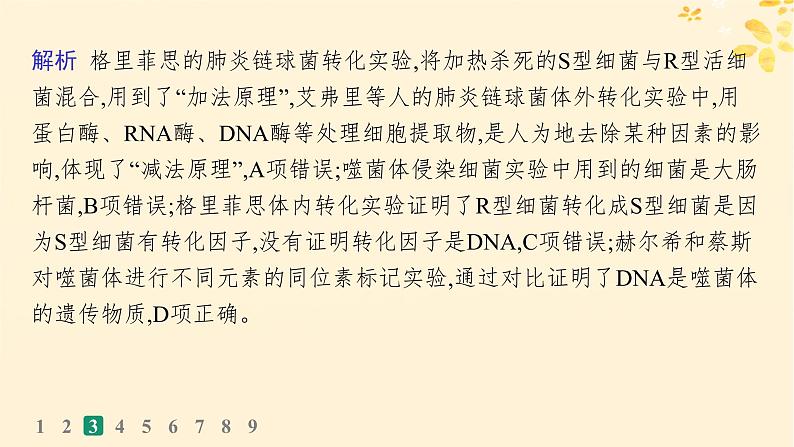 备战2025届新高考生物一轮总复习第6单元遗传的分子基础课时规范练23DNA是主要的遗传物质课件第8页