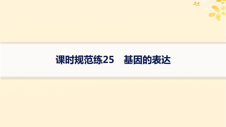 备战2025届新高考生物一轮总复习第6单元遗传的分子基础课时规范练25基因的表达课件01