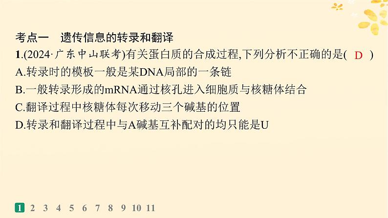 备战2025届新高考生物一轮总复习第6单元遗传的分子基础课时规范练25基因的表达课件03