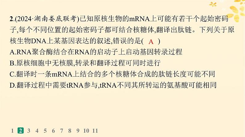 备战2025届新高考生物一轮总复习第6单元遗传的分子基础课时规范练25基因的表达课件05