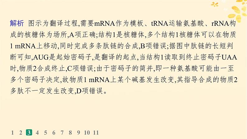 备战2025届新高考生物一轮总复习第6单元遗传的分子基础课时规范练25基因的表达课件08