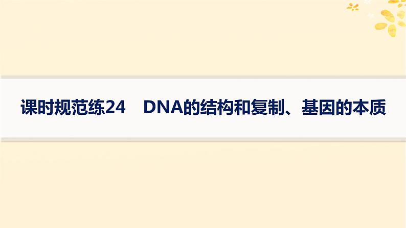 备战2025届新高考生物一轮总复习第6单元遗传的分子基础课时规范练24DNA的结构和复制基因的本质课件第1页