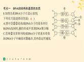 备战2025届新高考生物一轮总复习第6单元遗传的分子基础课时规范练24DNA的结构和复制基因的本质课件