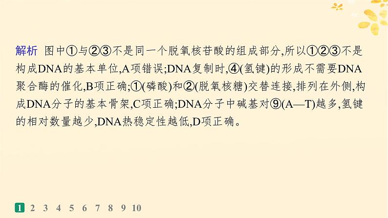 备战2025届新高考生物一轮总复习第6单元遗传的分子基础课时规范练24DNA的结构和复制基因的本质课件第4页