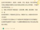 备战2025届新高考生物一轮总复习第6单元遗传的分子基础课时规范练24DNA的结构和复制基因的本质课件