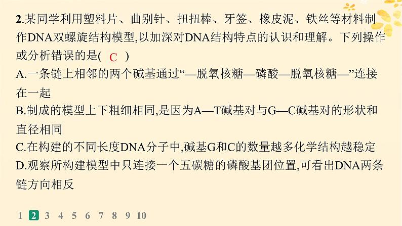 备战2025届新高考生物一轮总复习第6单元遗传的分子基础课时规范练24DNA的结构和复制基因的本质课件第5页