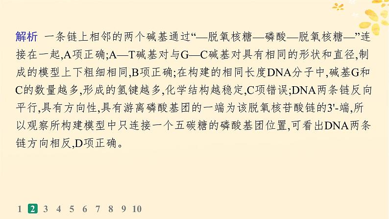 备战2025届新高考生物一轮总复习第6单元遗传的分子基础课时规范练24DNA的结构和复制基因的本质课件第6页