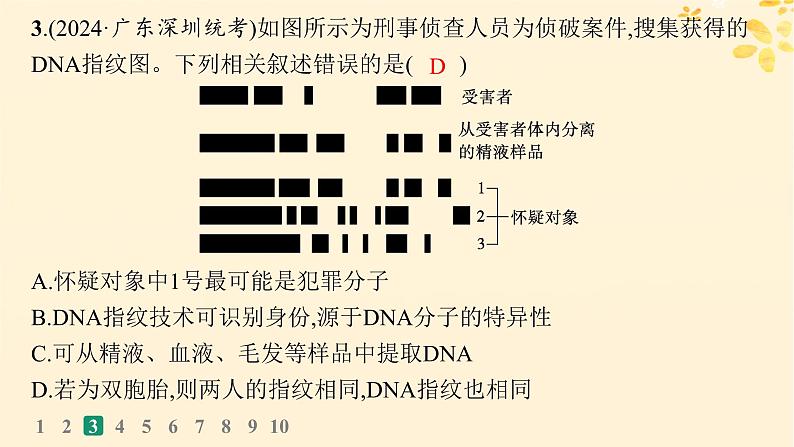 备战2025届新高考生物一轮总复习第6单元遗传的分子基础课时规范练24DNA的结构和复制基因的本质课件第7页