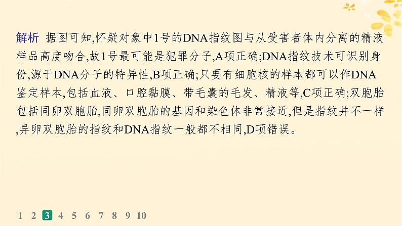 备战2025届新高考生物一轮总复习第6单元遗传的分子基础课时规范练24DNA的结构和复制基因的本质课件第8页