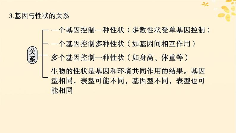 备战2025届新高考生物一轮总复习第6单元遗传的分子基础第26讲基因表达和性状的关系课件第7页