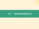 备战2025届新高考生物一轮总复习第6单元遗传的分子基础第24讲DNA的结构和复制基因的本质课件