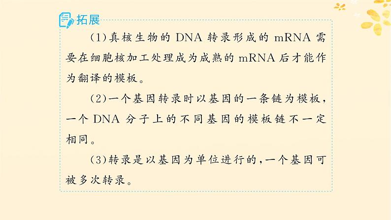 备战2025届新高考生物一轮总复习第6单元遗传的分子基础第25讲基因的表达课件07