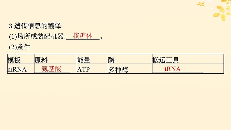 备战2025届新高考生物一轮总复习第6单元遗传的分子基础第25讲基因的表达课件08